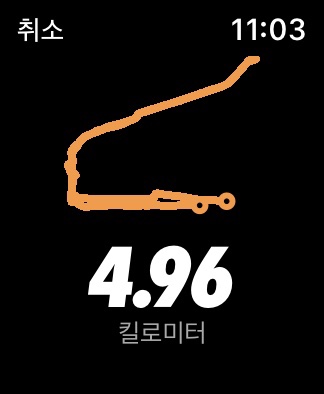  애플워치로만 달리기. 나이키 런클럽 (동기화, 기록 연동)/ 애플워치 사면 좋은 점
