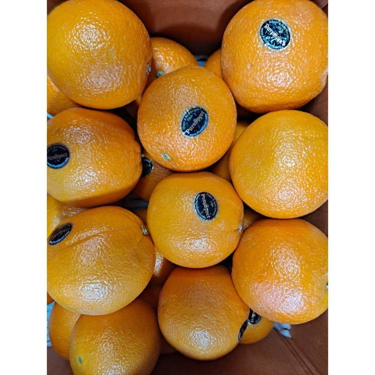 잘팔리는 퓨어스펙 블랙라벨 고당도 오렌지 3kg 5kg 17kg, 중소과 3kg 추천합니다 잘팔리는 퓨어스펙 블랙라벨 고당도 오렌지 3kg 5kg 17kg, 중소과 3kg 추천합니다
