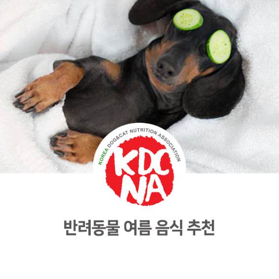  한국반려동물영양협회 광주지회 문정숙 펫영양사가 알려주는 여름 제철 음식 추천_823 [펫푸드자격증/반려동물영양전문강사/강아지자연식/고양이자연식/반려동물사료/목포/천안/공주/부산]