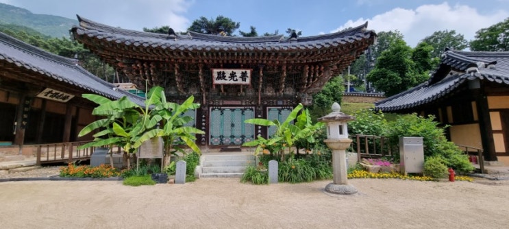  언택트 여행(상주 - 남장사)