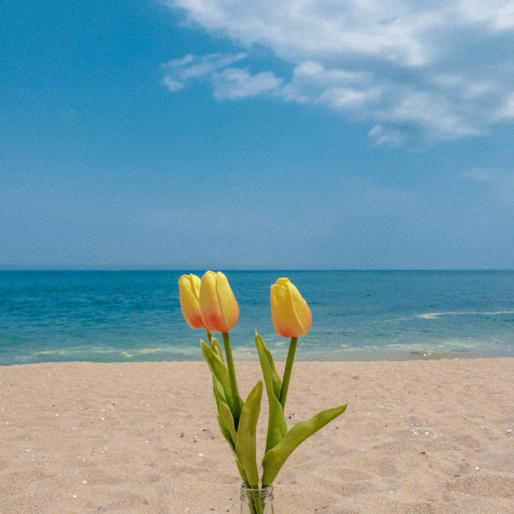  #4. 늘 짜증과 신경질을 내요. 밖에서는 안 그러는데 집에만 오면     엄마, 아빠나 만만한 동생한테 신경질을 내곤해요.
