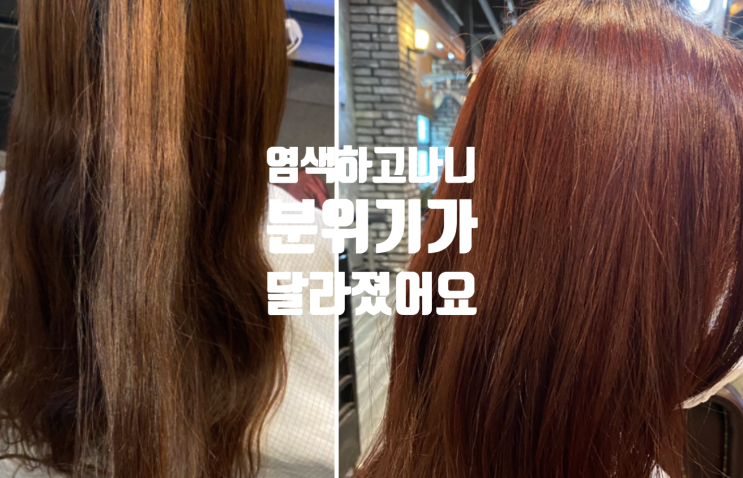  분당 야탑역 미용실 우호우상 여자염색 레드와인으로 얼룩탈출했어요
