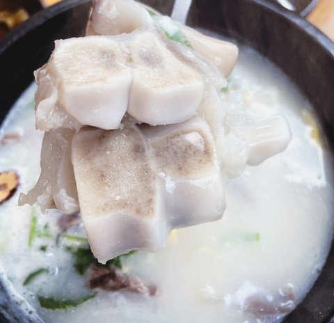  찐한 우유빛깔 우족탕 너무 맛있었어요<김판쇠 전주우족탕>
