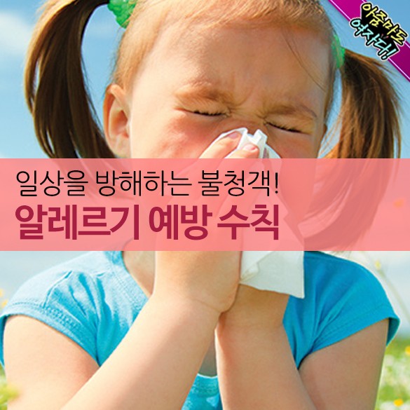  알레르기 예방수칙