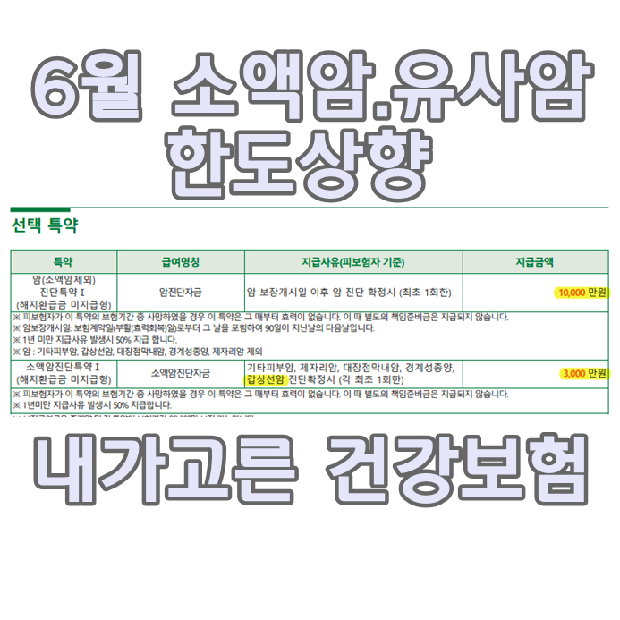  6월 소액암3천만원 백년친구 내가고른건강보험(해지환급금미지급형)2104