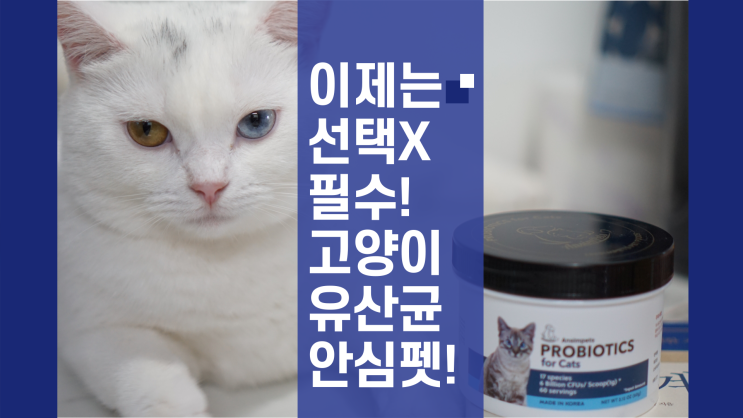  건강한 고양이 반려라이프엔 선택이 아니라 필수! 고양이유산균 안심펫!