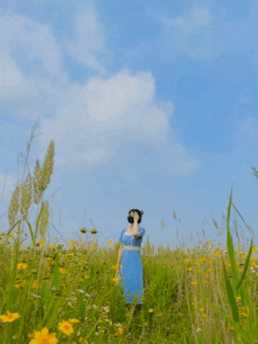  꽃밭에서 비행기와 인생샷을 찍을 수 있는 영종도 하늘정원 (주차장과 화장실 확인 필수)