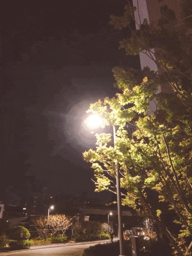  다시, 알찬하루 만들기 ~ (36일차)