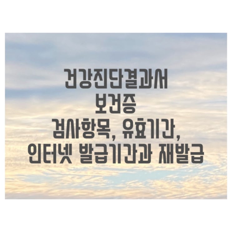  건강진단결과서(구.보건증) 검사항목, 유효기간, 인터넷 발급기간, 재발급 총정리