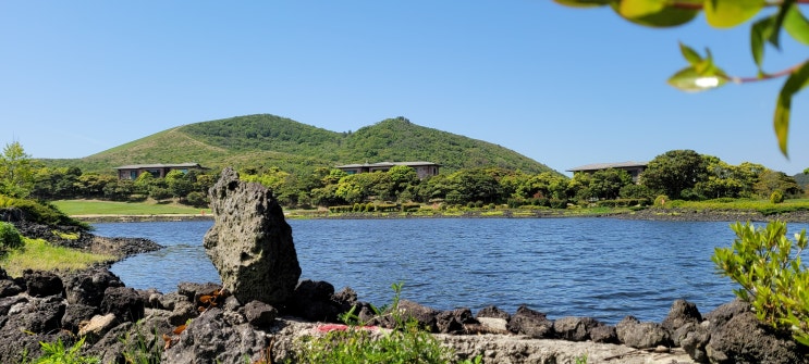  제주도 골프장 도장깨기   26. 에버리스CC
