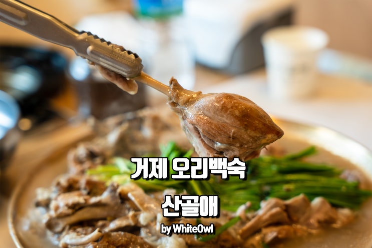  거제고현맛집 산골애 오리백숙으로 여름 이겨내기