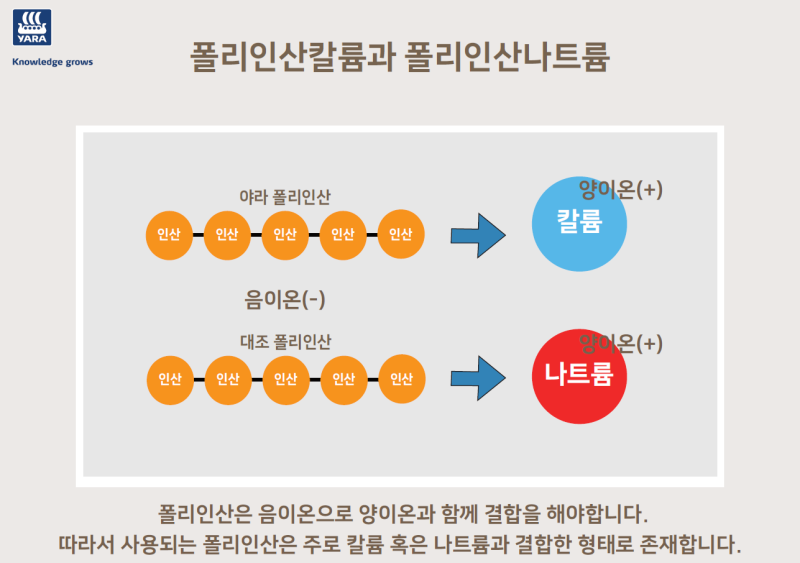 폴리인산의 종류와 효과 | 폴리인산나트륨, 폴리인산칼륨, 슈퍼Fk폴리인산 | 농사100단 : 네이버 블로그