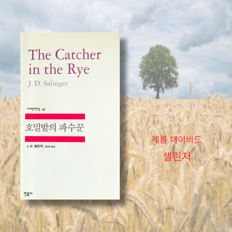  (성장소설)호밀밭의 파수꾼 줄거리 | 민음사 세계문학전집 47, 고전문학 소설읽기