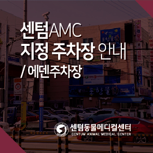  센텀동물메디컬센터 지정 주차장 안내 (에덴주차장) / 부산 전문진료 동물병원