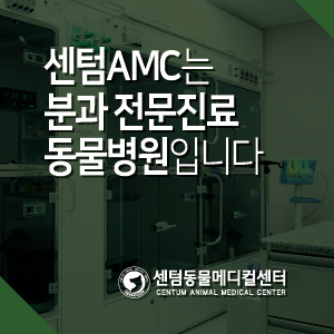  센텀동물메디컬센터 분과 전문진료 동물병원입니다 / 부산 수영구 남구 연제구 해운대구