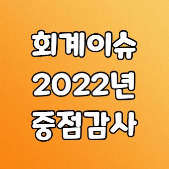  회계이슈 2022년 재무제표 중점심사