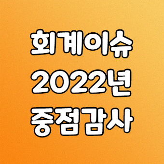 회계이슈 2022년 재무제표 중점심사