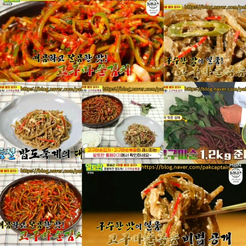 알토란 고구마순김치 임성근 고구마순볶음 만드는법 알토란341회