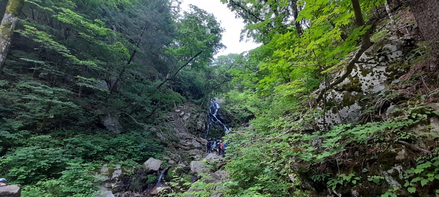 함박골 사진 3