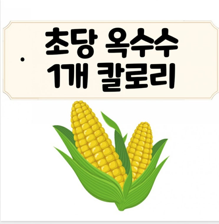  초당 옥수수 1개 칼로리는 과연?feat 다이어트