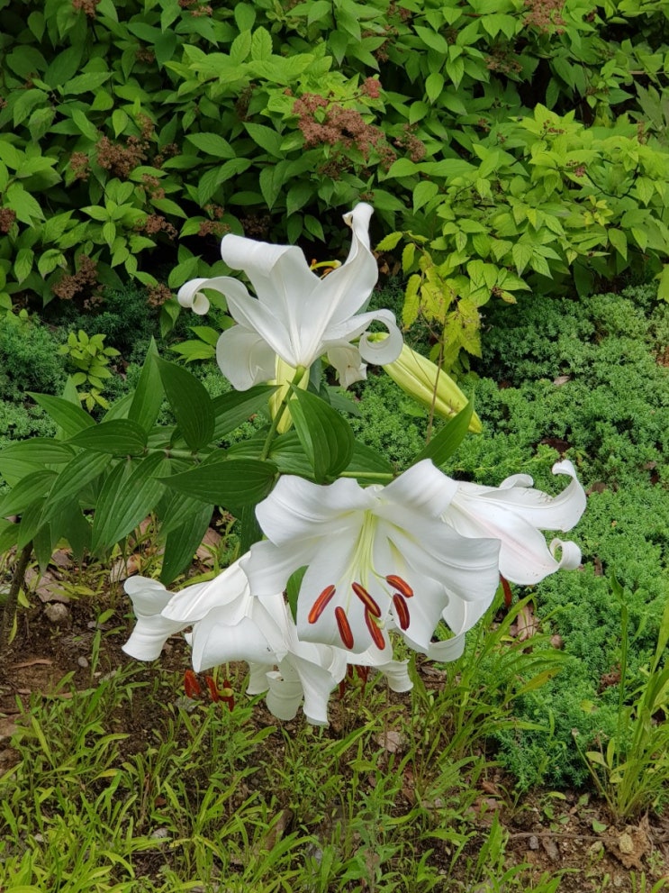 서소문 공원을 둘러보자! 서소문 공원을 둘러보자!