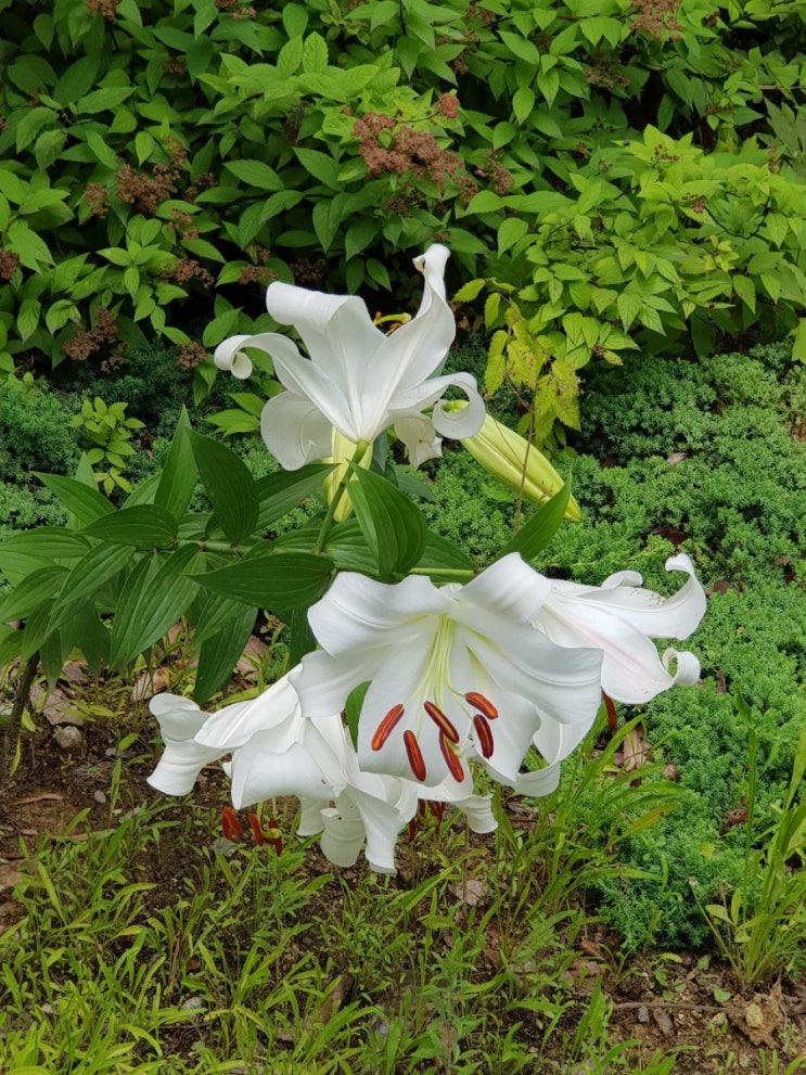 서소문 공원을 둘러보자!