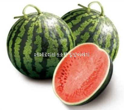  폭염속 지친 몸에 꼭 챙겨줘야 할 여름철 득템 과일 수박효능 및 꿀수박 찾는방법