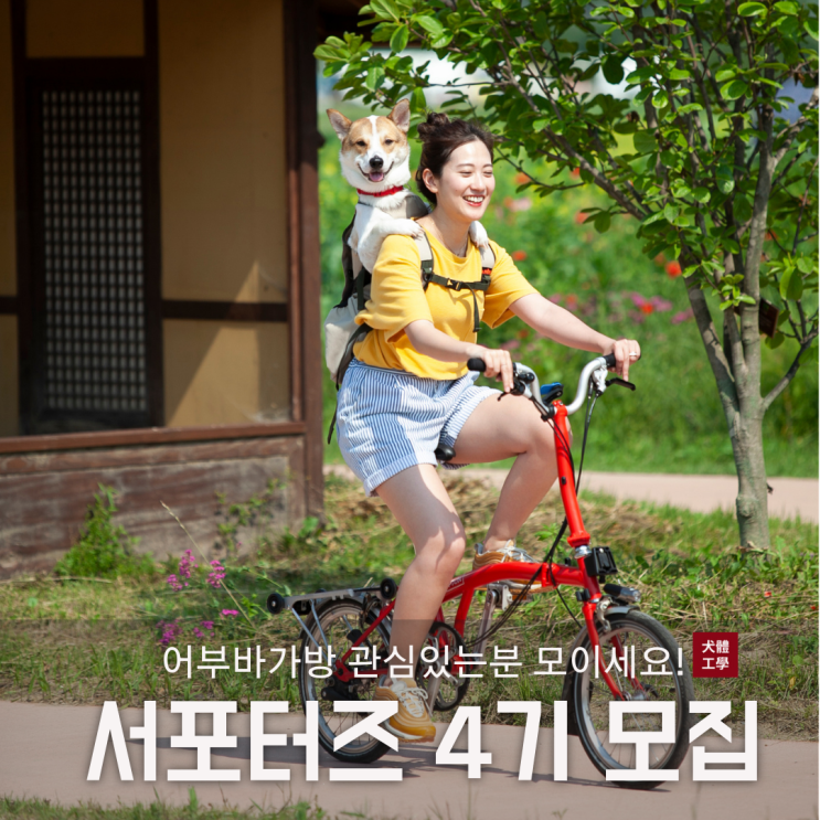  견체공학 강아지 어부바 궁금하다면? 어부바가방 서포터즈 4기 모집 도전해보세요.