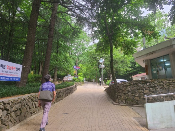  꾸준한등산하기 앞산등산 안일사에서 앞산정산으로!