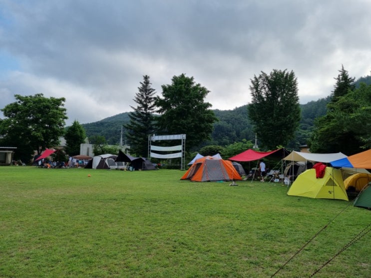  경기도 양평 오토캠핑장 산음숲 자연학교 오토캠핑장 가족캠핑장 추천
