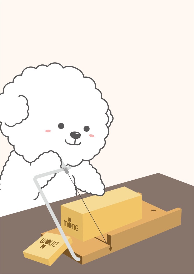  바스몽 비누가 특별한 이유 : 천연비누 이런점이 달라요!