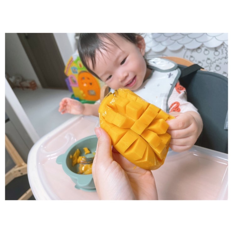  돌아기 자두, 복숭아, 수박, 참외, 살구 등 여름과일 먹는 시기