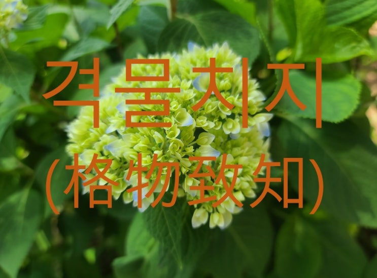  격물치지, 원리와 이치를 따지자