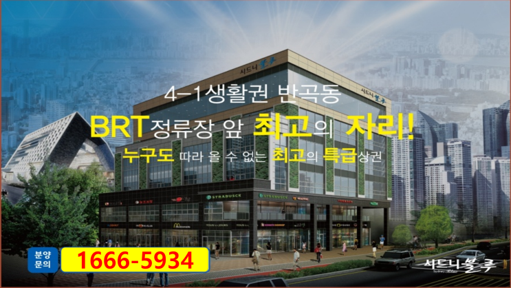  세종 4-1생활권 시드니 블루 상가 임대확정상가 분양 중입니다.
