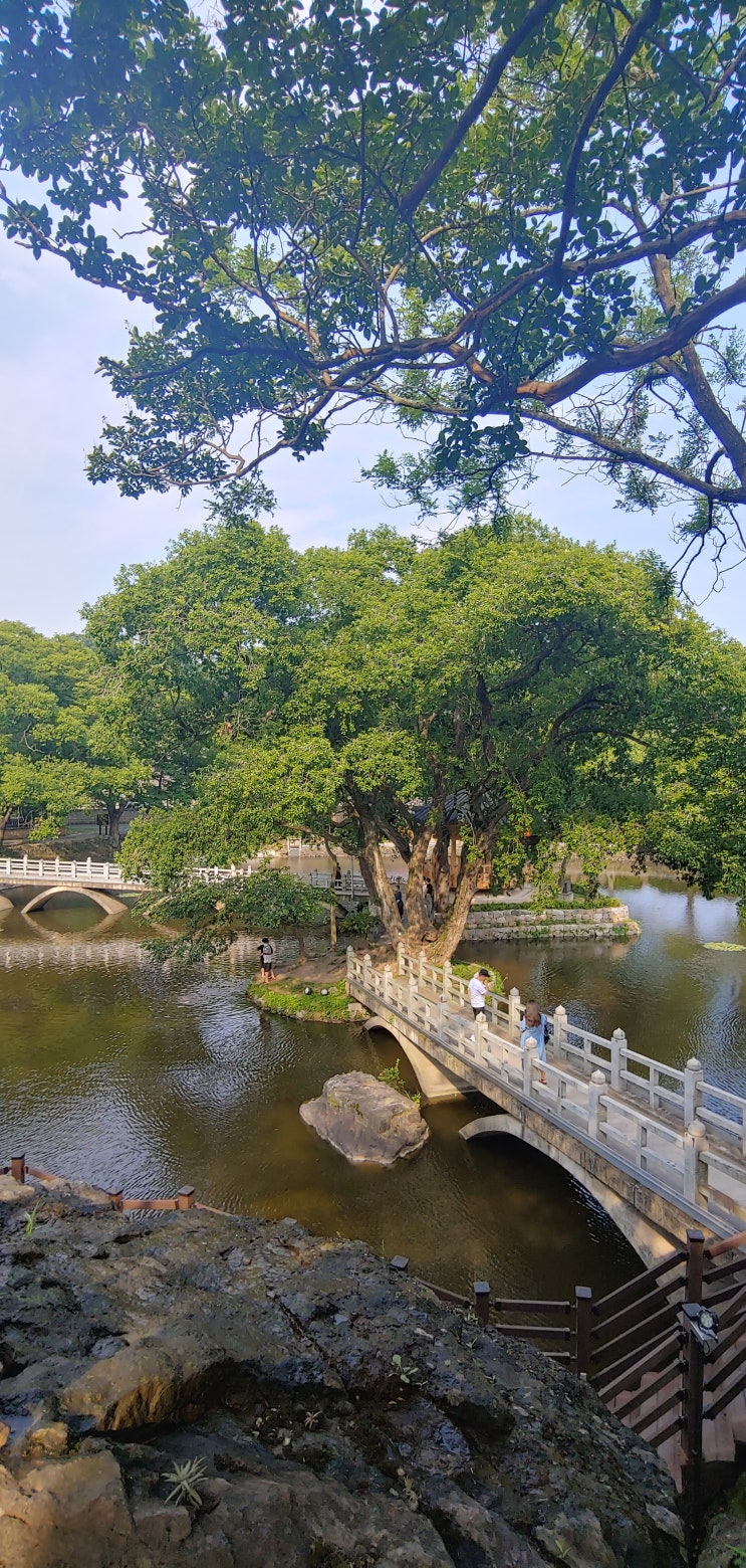  경남 함안:무진정 연못의 괴항마을 낙화놀이를 지켜보는 조삼 선생, 1박2일 촬영지,괴산재,이수정 연못,주차장, 함안 가볼만한 곳