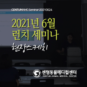  2021년 6월 수의사 런치 세미나 현장스케치 (수영 센텀동물메디컬센터)