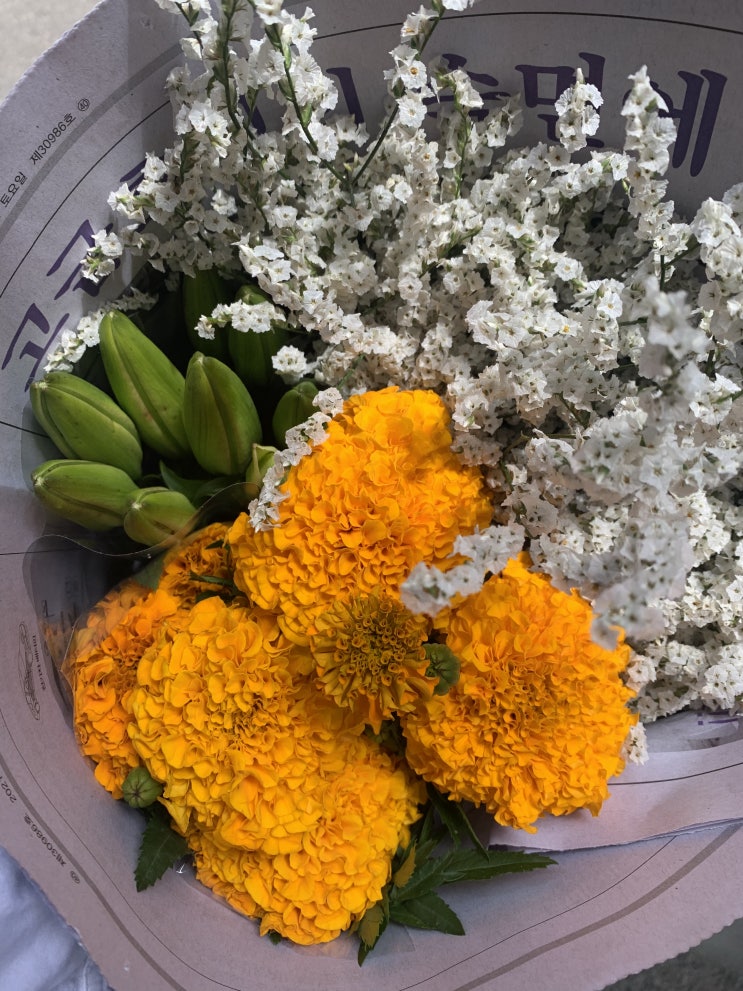 남대문 꽃시장 두번째 방문 - 꽃에게 위로받다