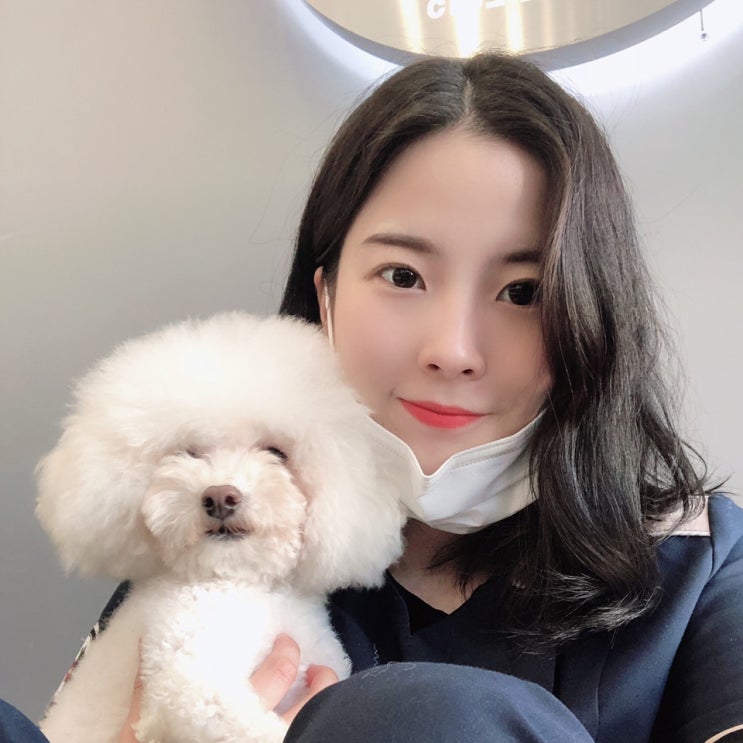  잘 설명해 주는 병원을 선택하세요. 젠틀리 김혜원 동물보건사 팀장, 등촌동 24시간 동물병원