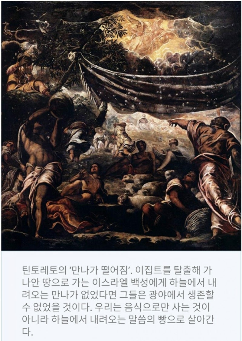 미사 - 위키백과, 우리 모두의 백과사전, image size:800x1124