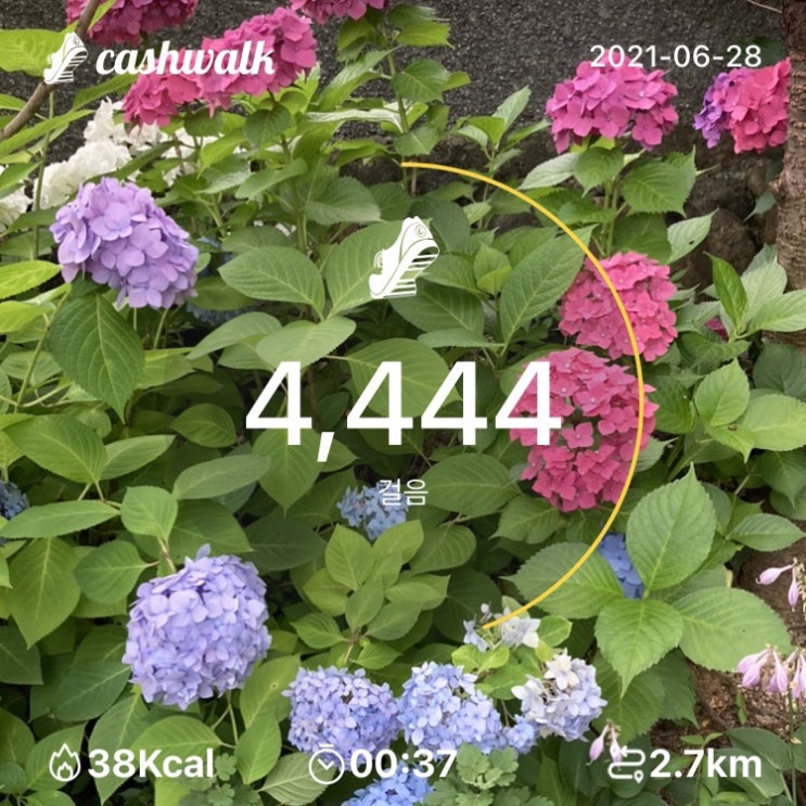  06.28) 37분
