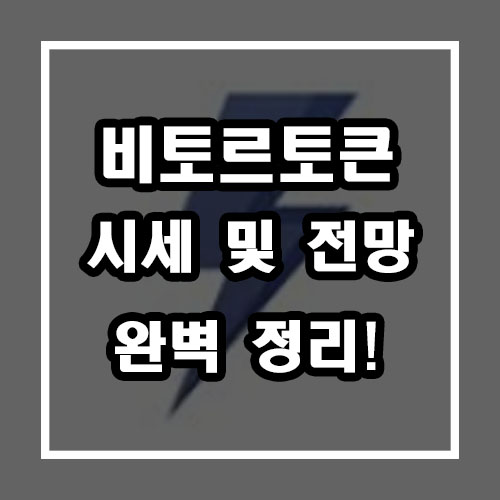  비토르 토큰 (VTHO 코인) 시세  및 전망 완벽 정리