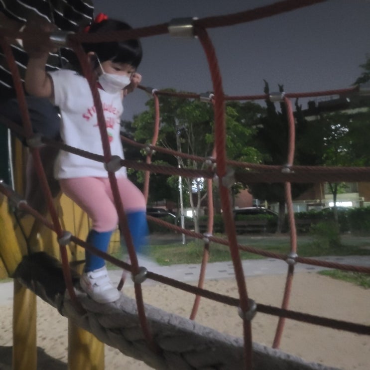  아낌없이 주는 나무 놀이터
