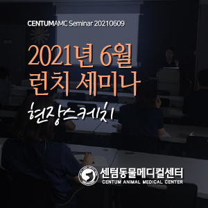  2021년 6월 수의사 런치 세미나 현장스케치 (수영 센텀동물메디컬센터)