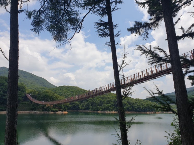  파주가볼만한곳 마장호수출렁다리 파주여행