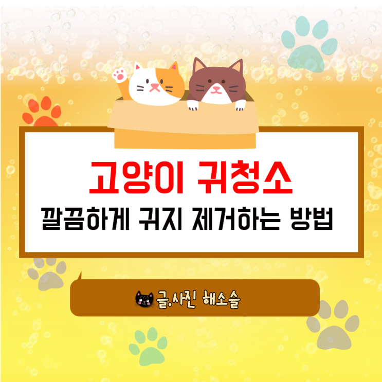  고양이 귀청소, 깔끔하게 귀지 제거하는 방법 with 버박 에피오틱 귀세정제