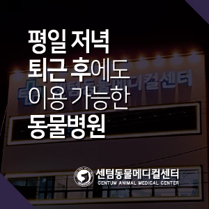 평일 저녁 퇴근 후에도 이용 가능한 부산 전문진료 동물병원 센텀동물메디컬센터