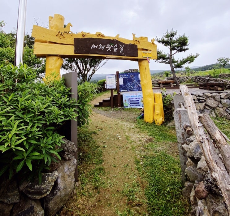  서귀포 남원읍 숲길 추천—한적하고 사람적은 산책하기 좋고 힐링하기 좋은 머체왓 숲길