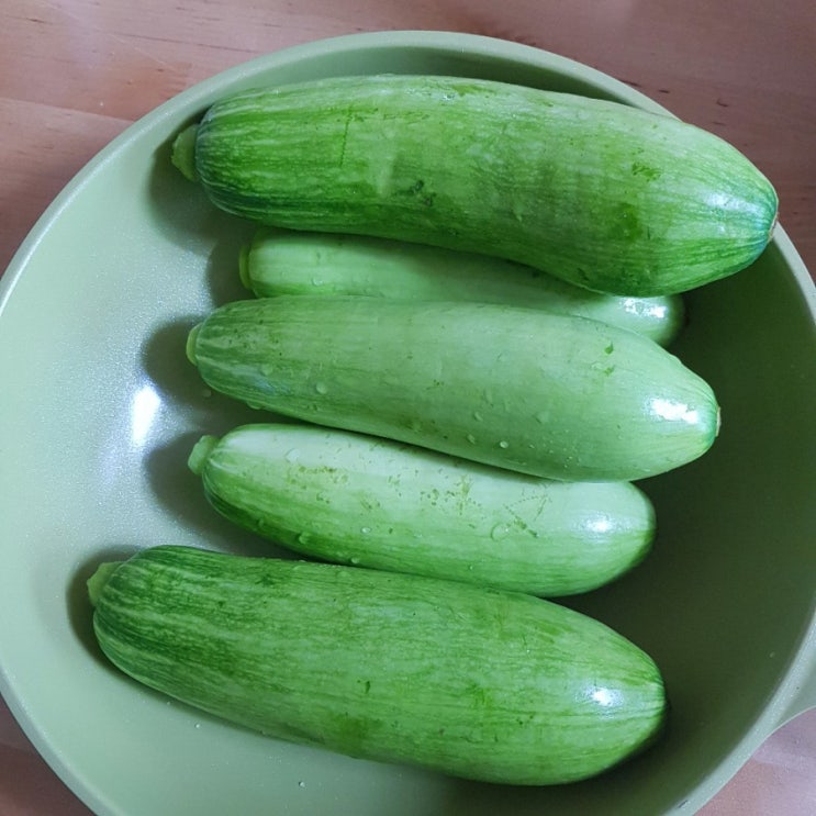  주말농장 애호박 풍년이네요^^