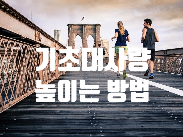 기초대사량 높이는 방법 (ft. 성인 남자 여자 기초대사량 평균)