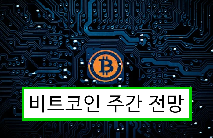  비트코인 그래프로 보는 하락장 대응전략 핵심포인트